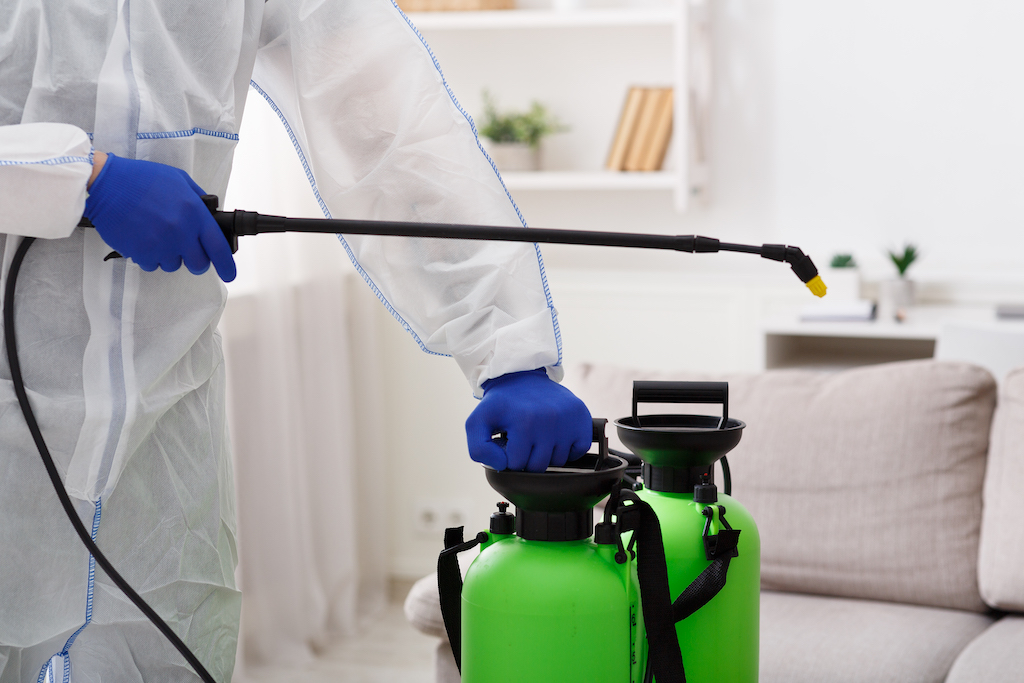 How to Prevent Pest Infestations in Commercial Properties